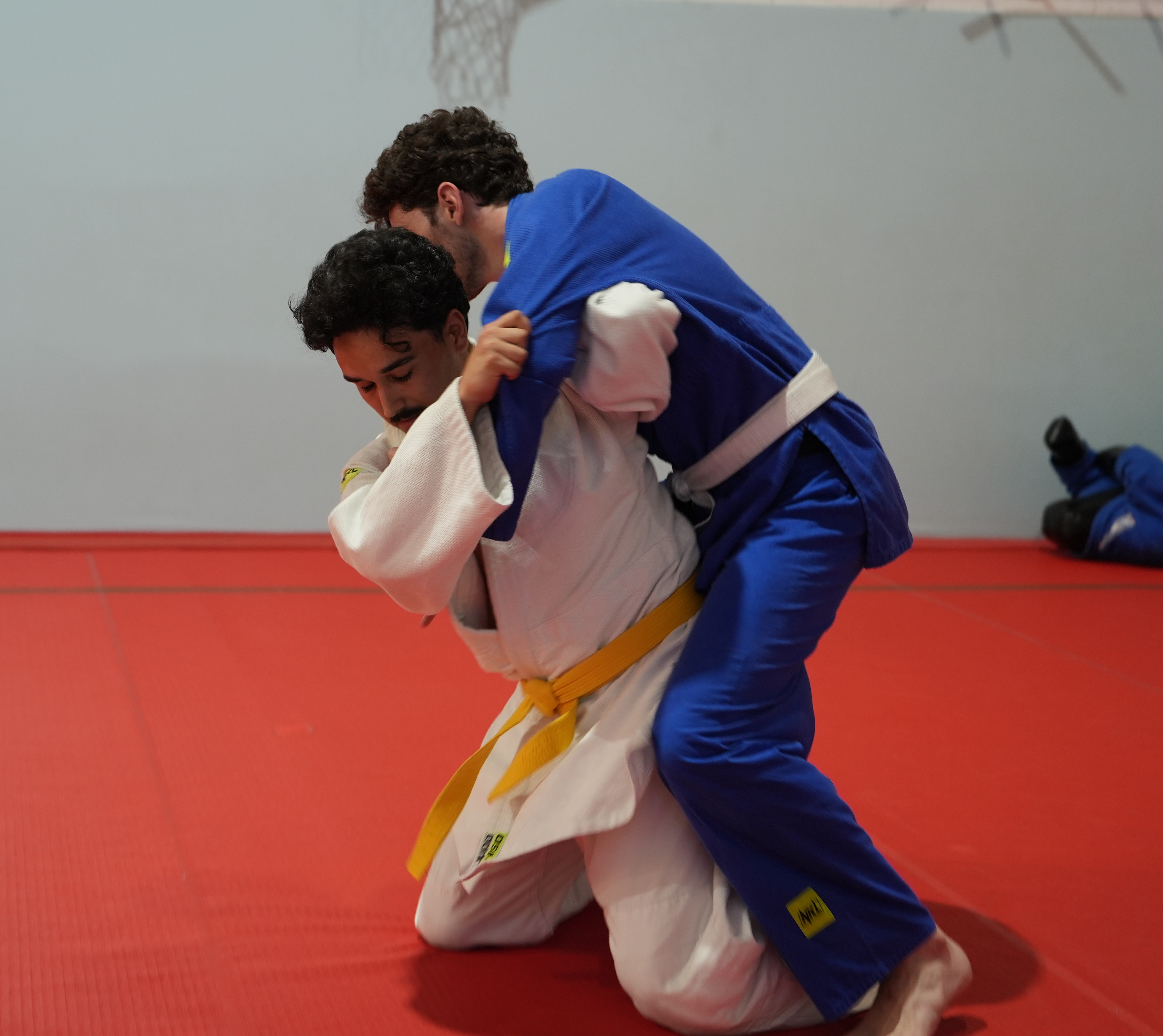 Practicing judo